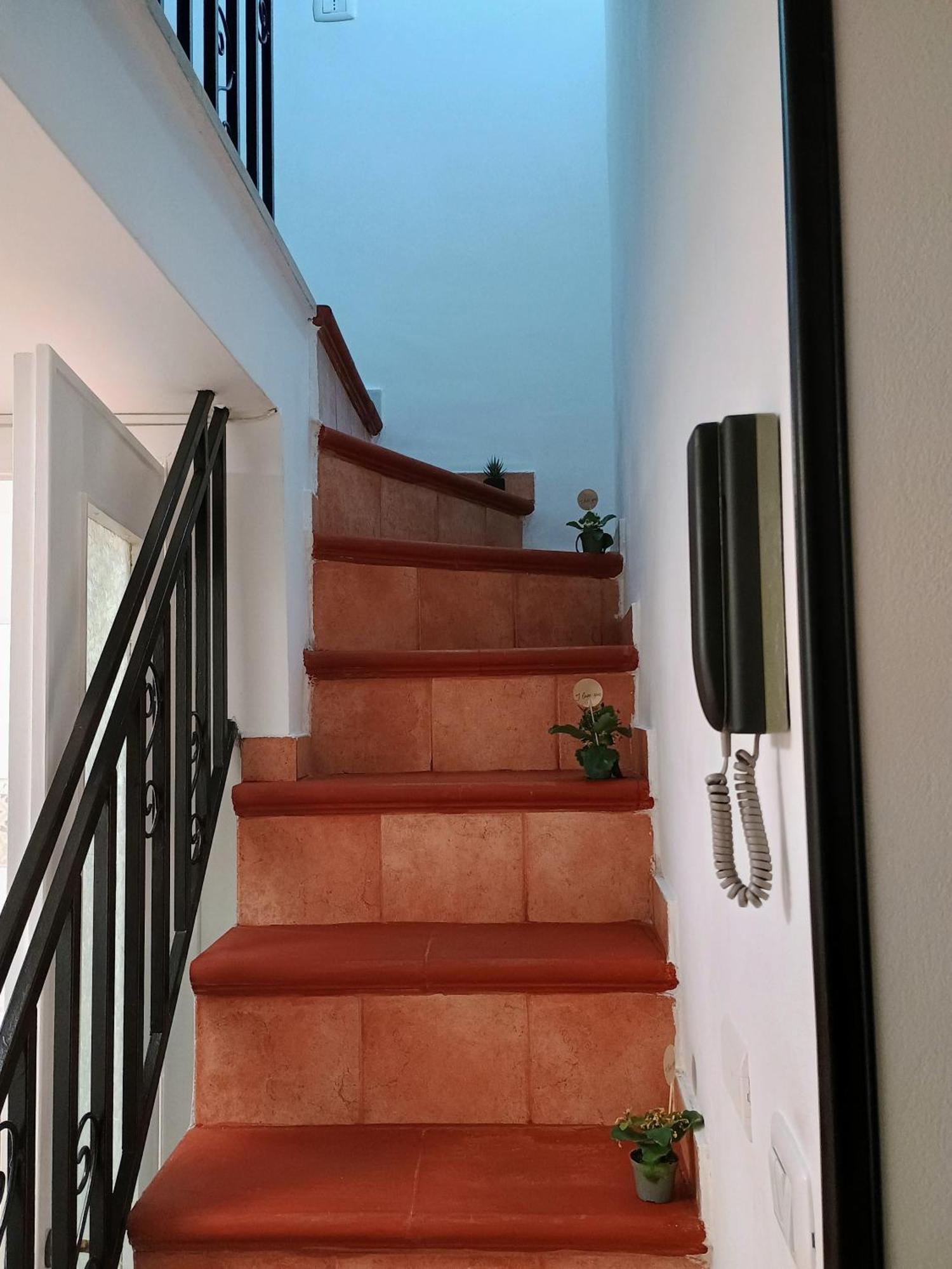 Casa Centro Storico O Capu Apartment Palermo Ngoại thất bức ảnh